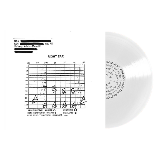 K. Flay - I'm Making Friends with the Silence EcoSonic Record